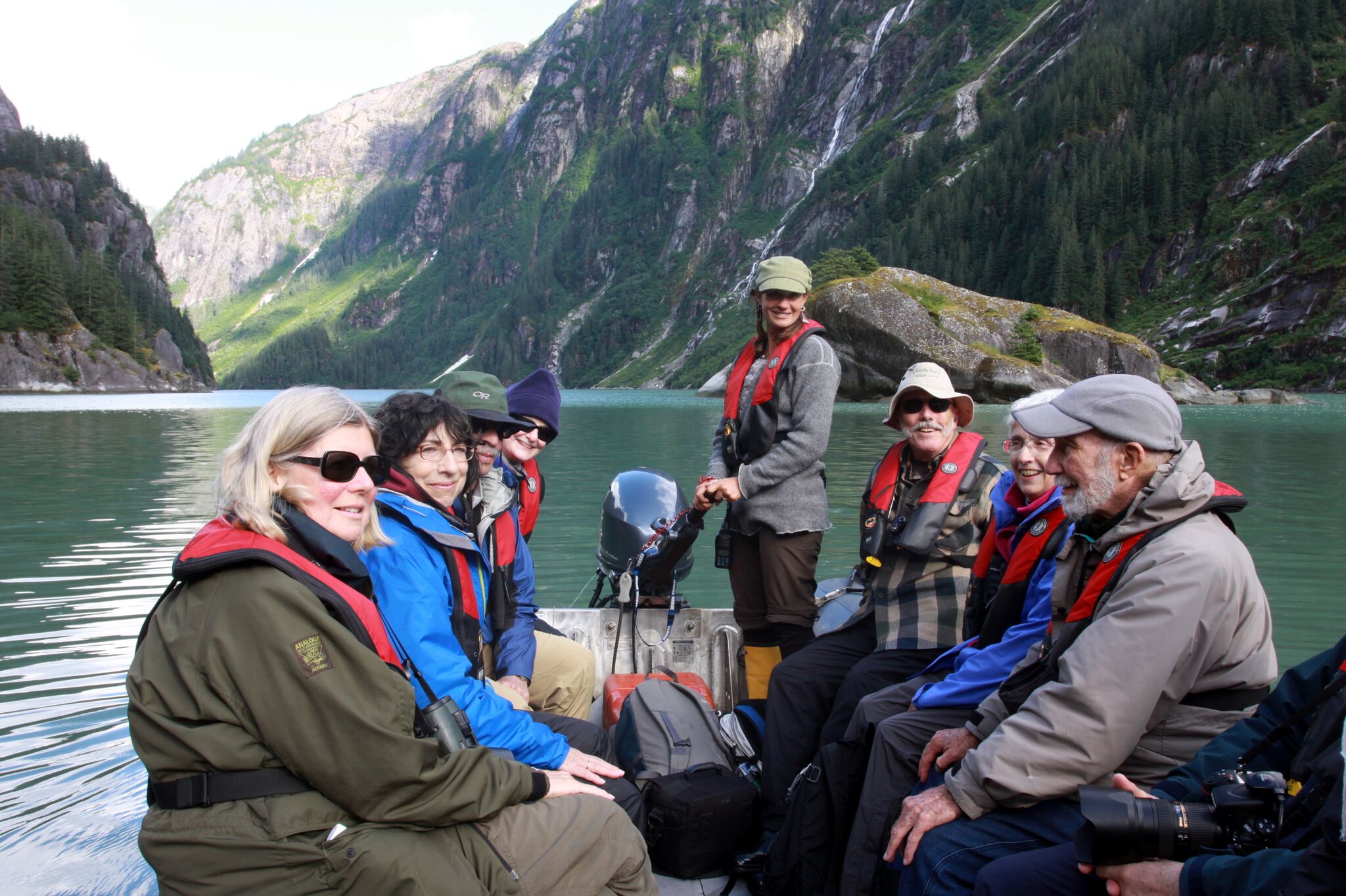 Whale watching tour in B.C. Photo from Bluewater Adventures